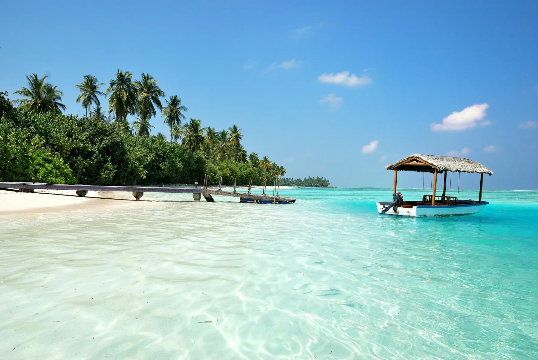 Costa de agua turquesa con palmeras